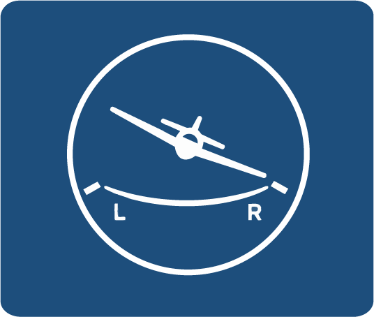 30 Day CFI - Standard Rate