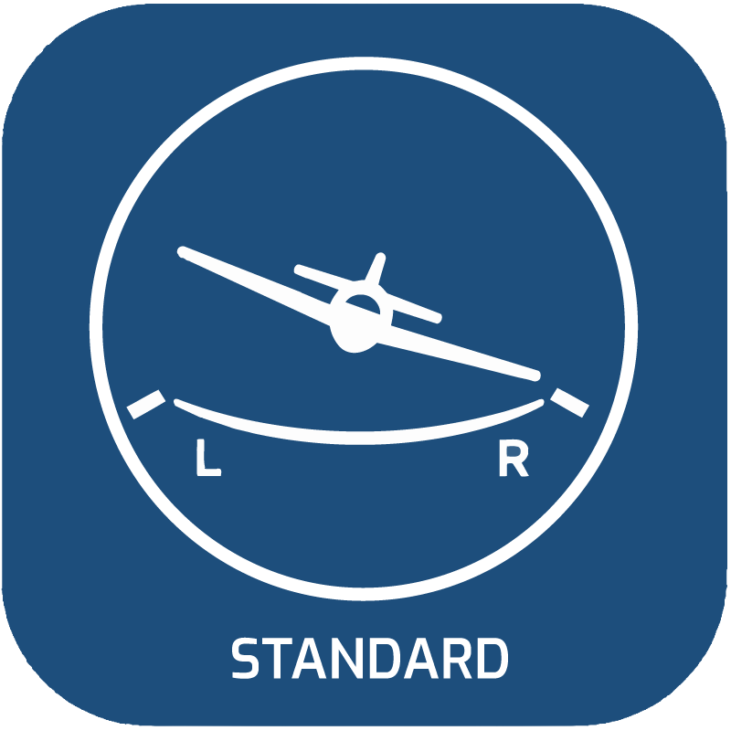 Standard icon